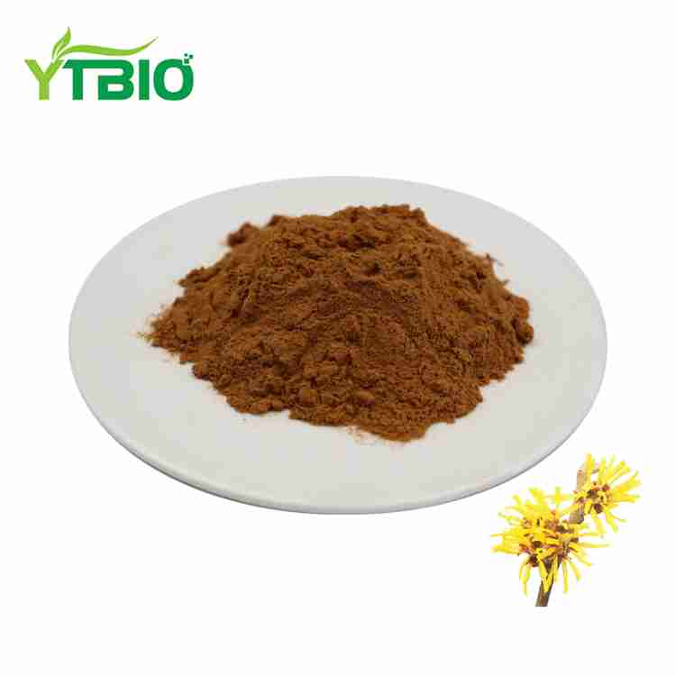 Witch Hazel Extract Powder